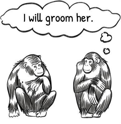 Inferential Communication: Bridging the Gap Between Intentional and Ostensive Communication in Non-human Primates